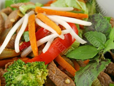 Stirfry Vegetables And Beef