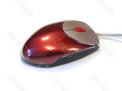 Red Mouse