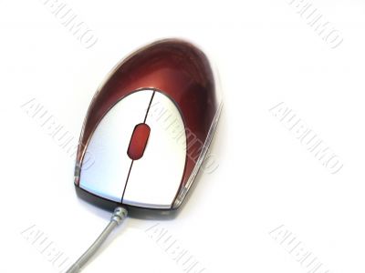 Red Mouse