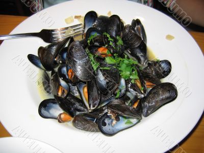 Mussels on a Plate