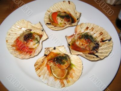 Scallops in Shell with Chili and Lime