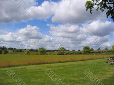 English Meadow