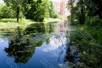 Blue pond with reflection in old park in city