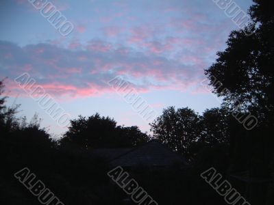 Colourful Sunset Abouve Trees
