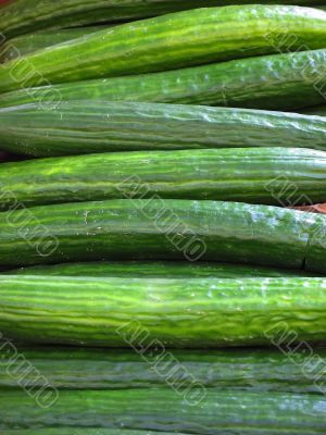 Closeup of Cucumbers in a Continental Market