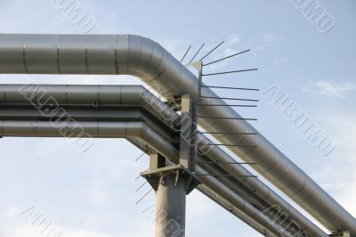 Stainless Steel Pipes