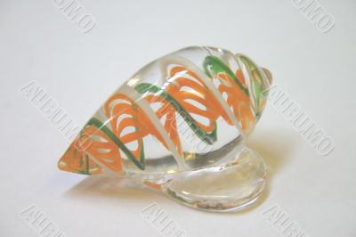 Shell Paper Weight