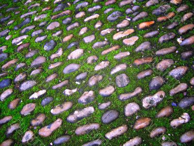 Moss and Cobbles