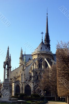 facade of Notre Dame de Paris
