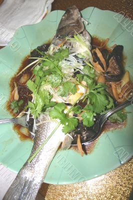 Chinese Sea Bass