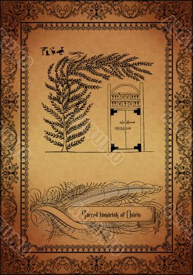 Parchment with egyptian elements