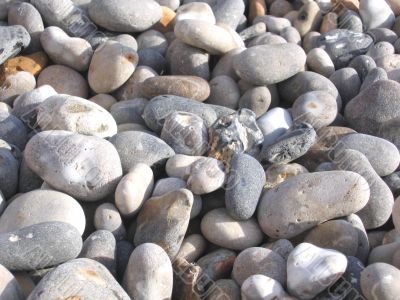 Pebbles on a South Devon Beach