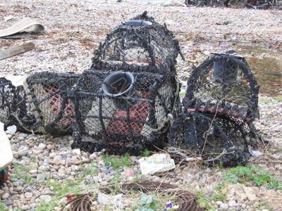 Lobster Pots