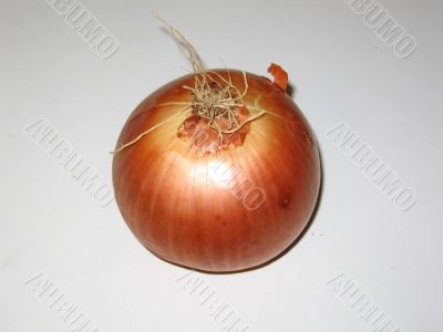 One Onion