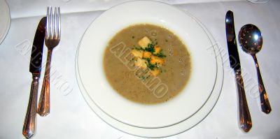 Mushroom Soup