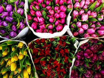 flower market1