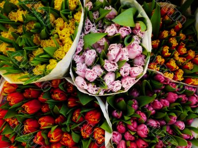 flower market2