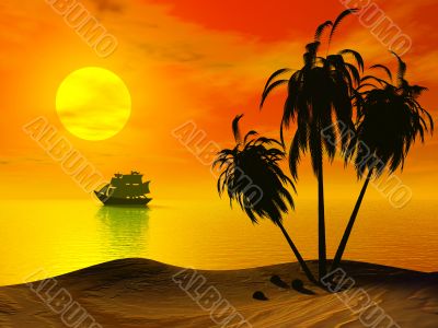 Sunset Palm