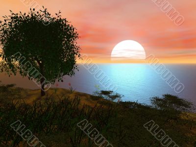 landscape