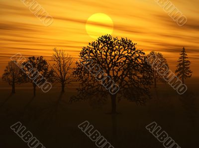 autumn etude