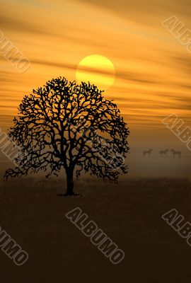 Autumn Scene