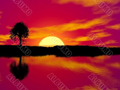 sunset