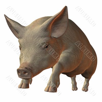 Pig 3D