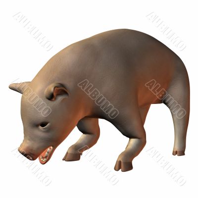 Piglet 3D