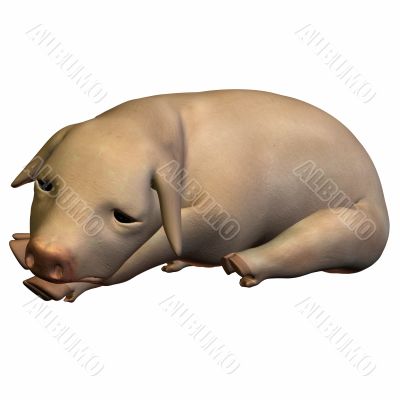 Piglet 3D