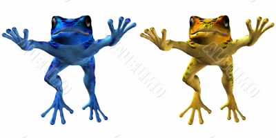 Poison Dart Frog-Phyllobates terribilis