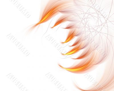 Orange petals