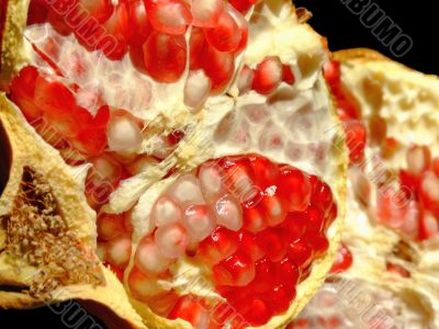 Pomegranate fruit