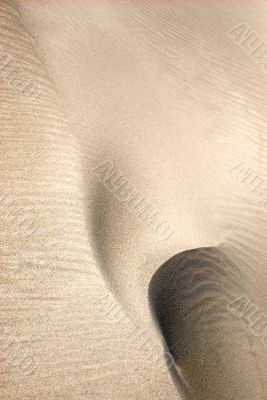 Sand Background