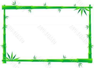 Bamboo Frame