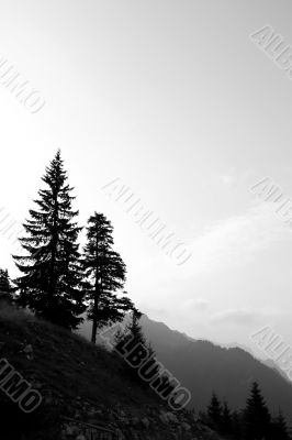 Green hill with blue sky