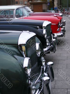 vintage cars bonnets line