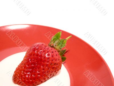 strawberry & cream