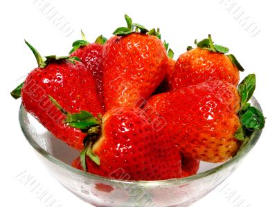 strawberries in February