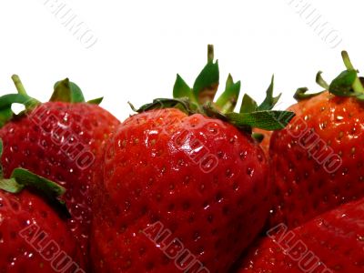 strawberries background2