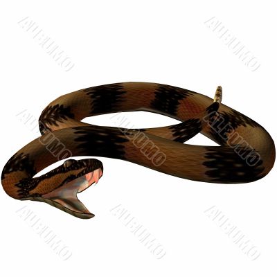 3D Snake