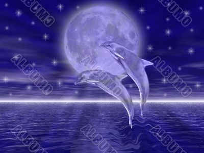 Dolphins