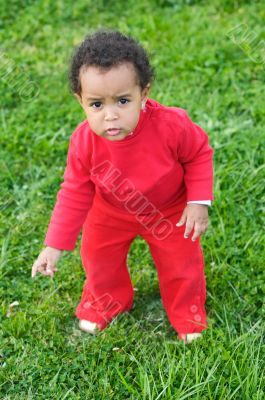 Baby playing on the grass