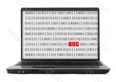 concept of computer bug