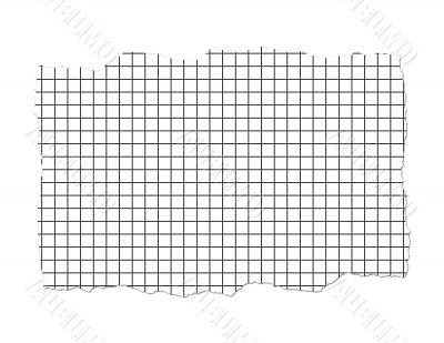 Ripped Graph Paper Illustration
