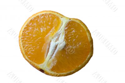 Mandarine Slice