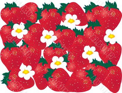 Background from strawberries