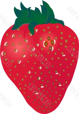 Strawberry