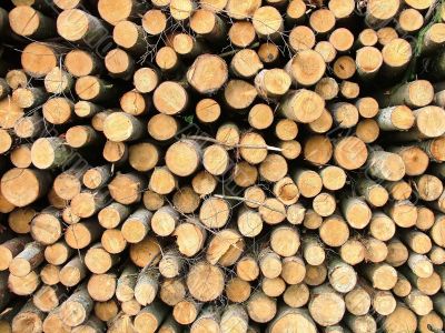 stack of wood
