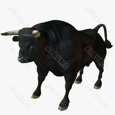 Bull 3D