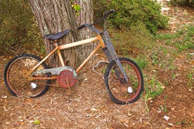 Rusty Bike
